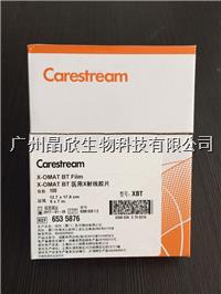 X-OMAT BT医用X射线胶片