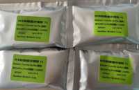 Western转膜缓冲液（粉末）